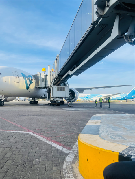cargo handling 3